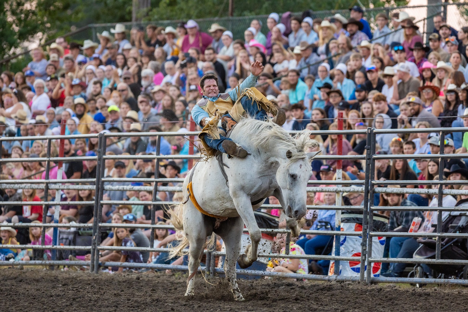 Monday Rodeo What A Week - Post Journal